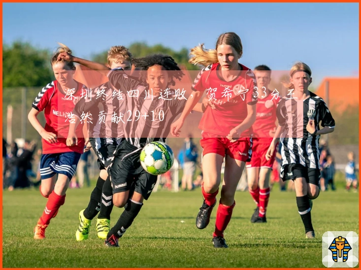 深圳终结四川连败，贺希宁33分王浩然贡献29+10